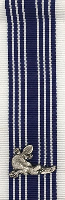 Commissioner’s Commendation for Conspicuous Conduct