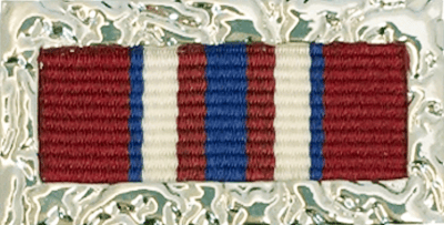 Commissioner's Group Citation for Bravery