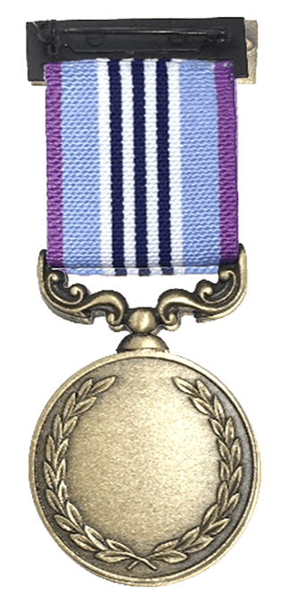 Commissioner's Medal for Innovation